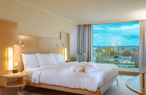 Glattbrugg Hotel | Hilton Zurich Airport