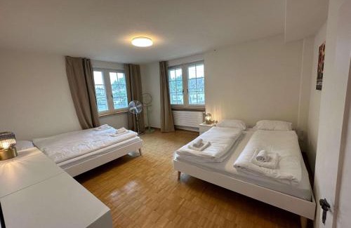 Niederdorf Apartment | HITrental Limmatquai Apartment