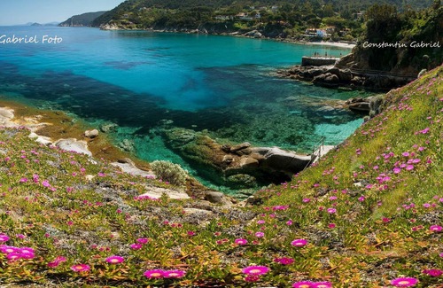 Sant' Andrea Apartment | Holiday apartment with terrace and sea view - Denise 4