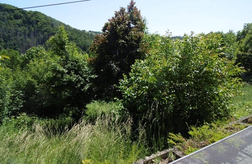 Waldbreitbach Apartment | Holiday apartment Waldbreitbach for 1 - 4 persons with 1 bedroom - Holiday apartment
