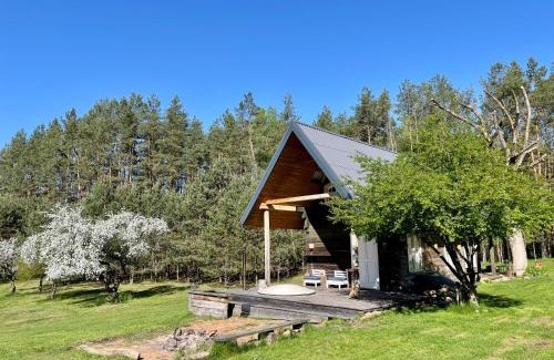 Alytus county Ski Chalet | Holiday homestead Camp of Forest Souls