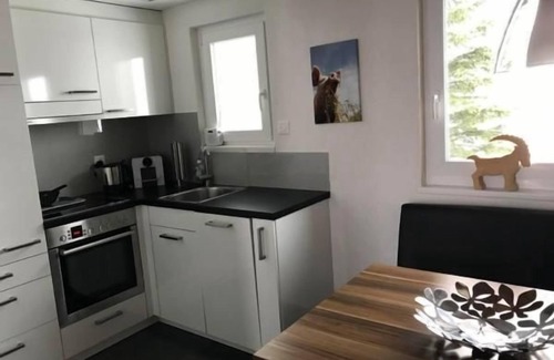 Wildhaus Ski Chalet | Holiday house Wildhaus for 1 - 5 persons with 2 bedrooms - Hut