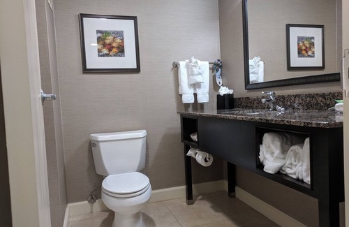 University Place Hotel | Holiday Inn Charlotte University Executive Park by IHG