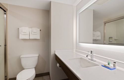 Largo Hotel | Holiday Inn Express Hotel & Suites Largo-Clearwater by IHG
