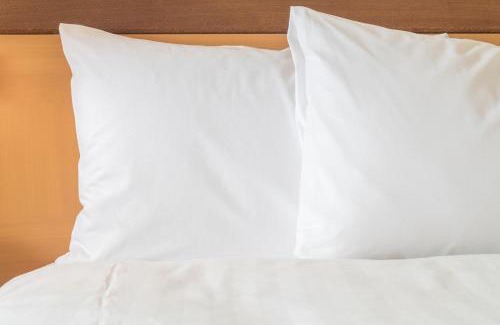 Kenner - Louis Armstrong International Airport Hotel | Holiday Inn Express Kenner - New Orleans Airport by IHG