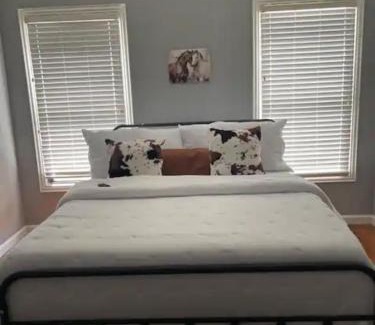 Fort Worth Cultural District House | Home in Fort Worth