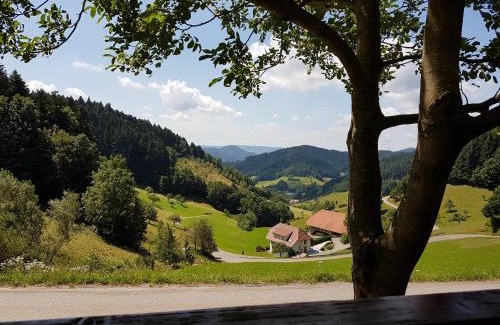 Oberwolfach Hotel | Hotel 3 Könige