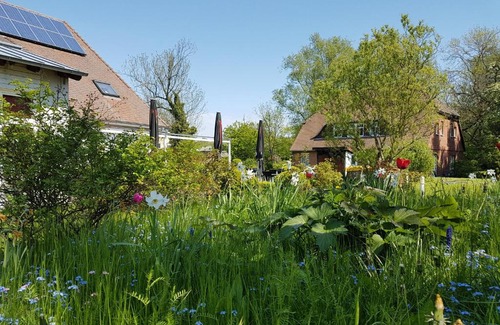 Wiek Hotel | Hotel Alt Wittower Krug