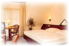 Frankenhain Hotel | Hotel am Gisselgrund