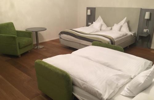 Heidelberg City Centre Hotel | Hotel am Schloss
