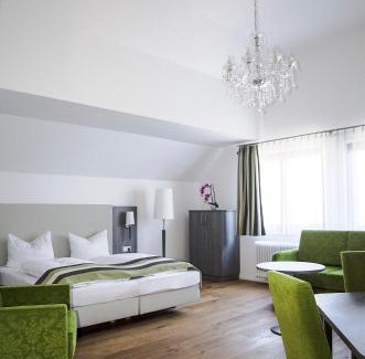 Heidelberg City Centre Hotel | Hotel am Schloss