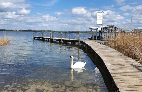 Ropersdorf Hotel | Hotel am Uckersee