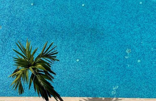 Gombe Hotel | Hotel Belle Vie