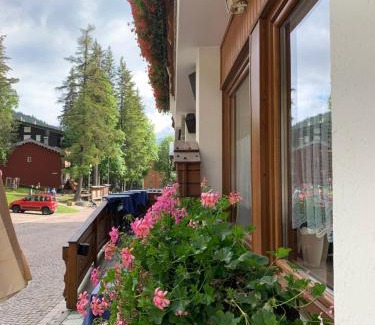 Madesimo Hotel | Hotel Capriolo
