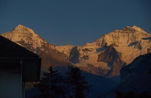 Unterseen Hotel | Hotel Chalet Swiss