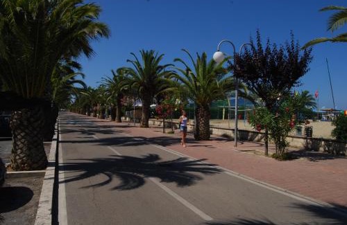 Tortoreto Lido Hotel | Hotel Clara