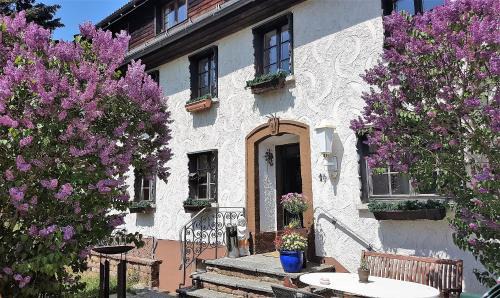 Hoechenschwand Hotel | Hotel Das Landhaus