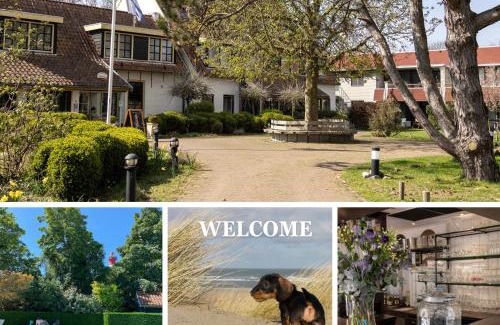 Nieuw-Haamstede Hotel | Hotel De Torenhoeve