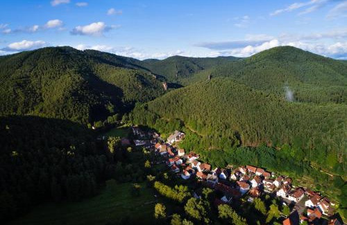 Erfweiler Hotel | Hotel Die Kleine Blume