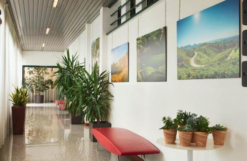 Visnadello Hotel | Hotel Eurorest