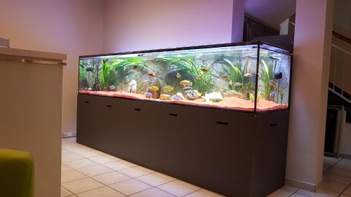 Bischofswerda Hotel | Hotel Evabrunnen