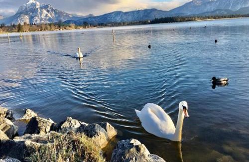 Hopfen am See Hotel | Hotel Fischer am See