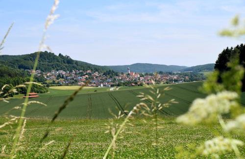 Velburg Hotel | Hotel Gasthof Zum Löwen