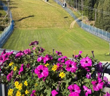 Santa Caterina Valfurva Hotel | Hotel Genzianella