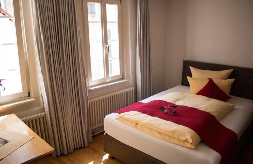 Heidelberg City Centre Hotel | Hotel Goldener Falke