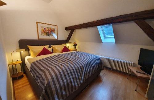 Heidelberg City Centre Hotel | Hotel Goldener Falke