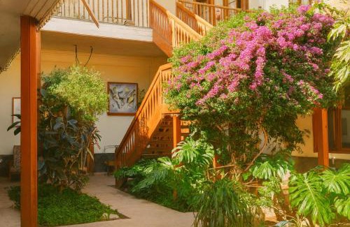 Vicuna Hotel | HOTEL HALLEY - Vicuña, Valle de Elqui