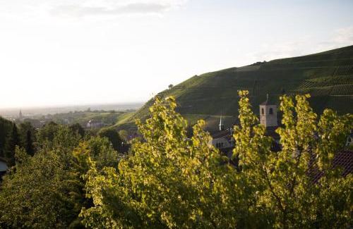 Steinbach Hotel | Hotel Heiligenstein