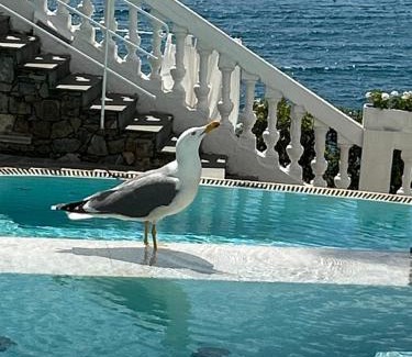 Sestri Levante Hotel | Hotel Helvetia