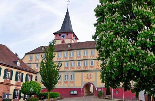 Bad Konig Hotel | Hotel Irene