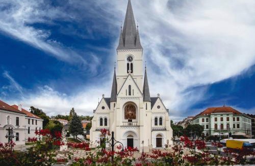 Kaposvar Hotel | Hotel Kapos