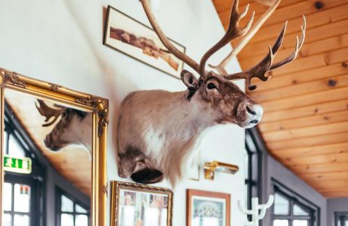 Mosfellsbaer Hotel | Hotel Laxnes