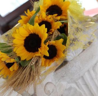 Old Town Hotel | Hotel Mantegna Stazione, MantegnaHotels