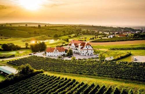 Poysdorf Hotel | Hotel Neustifter