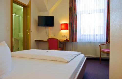 Zwickau Hotel | Hotel Park Eckersbach