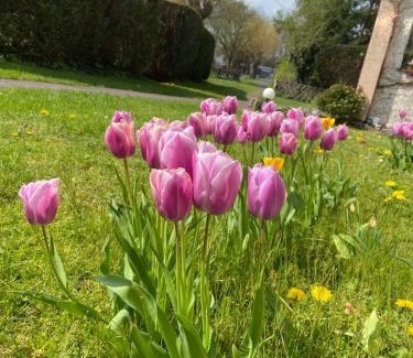 Lippstadt Hotel | Hotel-Pension Haus Holtdirk