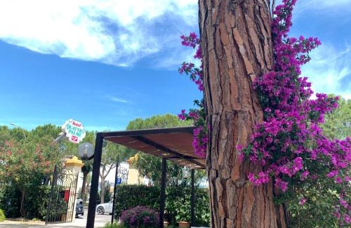 Tortoreto Lido Hotel | Hotel Quattro Palme