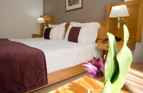 Castelo Branco Hotel | Hotel Rainha D. Amélia, Arts & Leisure