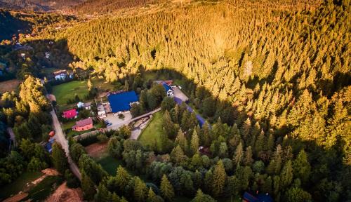 Sucevita Hotel | Hotel & Restaurant Sofia