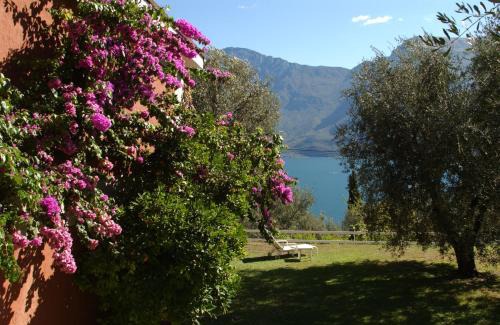Limone sul Garda Hotel | Hotel Riviera Panoramic Green Resort
