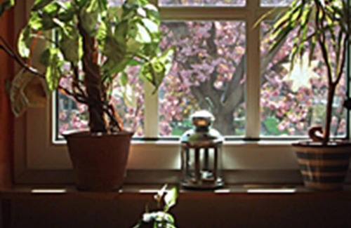 Kehl Hotel | Hotel Rosengarten Kehl