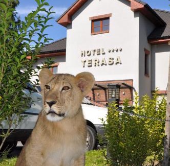 Frydek-Mistek Hotel | Hotel Terasa