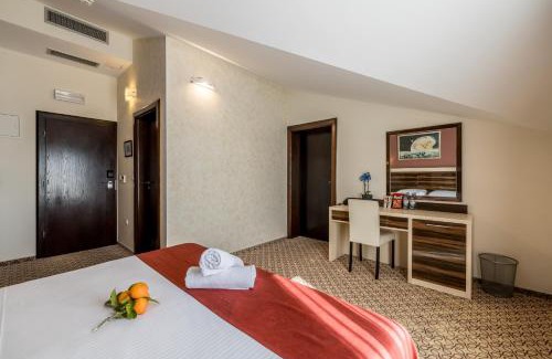 Zrce Hotel | Hotel Terra