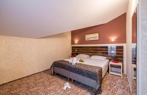 Zrce Hotel | Hotel Terra
