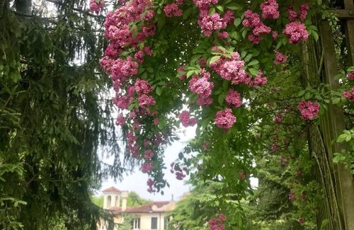 Pasiano di Pordenone Hotel | Hotel Villa Luppis