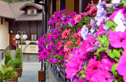 Uzice Hotel | Hotel Zlatiborska Noc